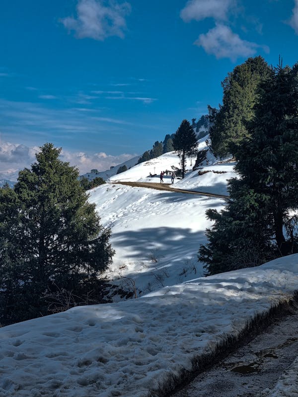 Himachal Pradesh Tour